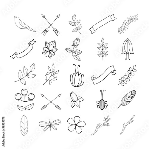 Elegant design elements set.