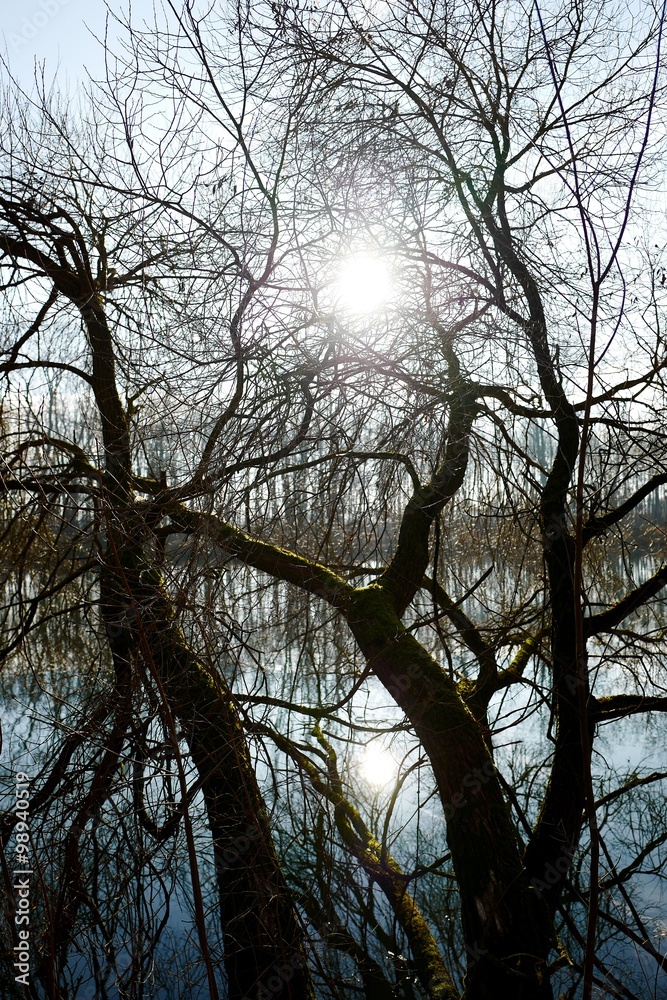 Naklejka premium Flusslandschaft im Gegenlicht