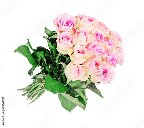 Pink roses