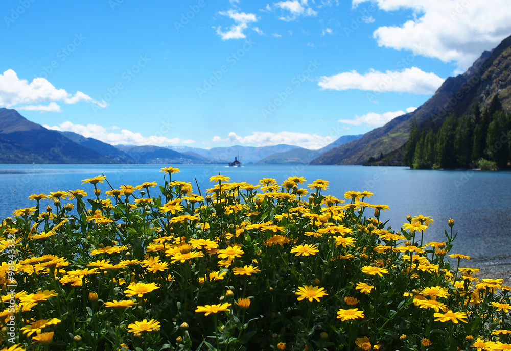 Beautiful landscape New Zealand