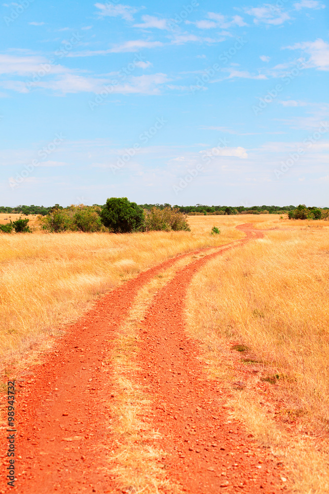 Fototapeta premium Masai Mara landscape