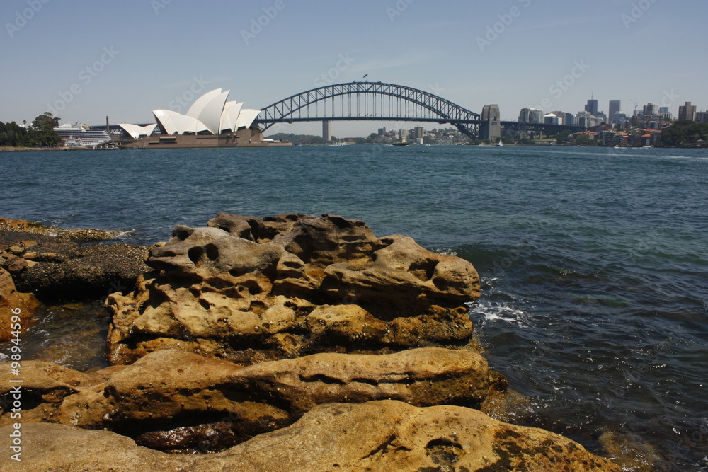 Naklejka premium Sydney Harbor Panorama