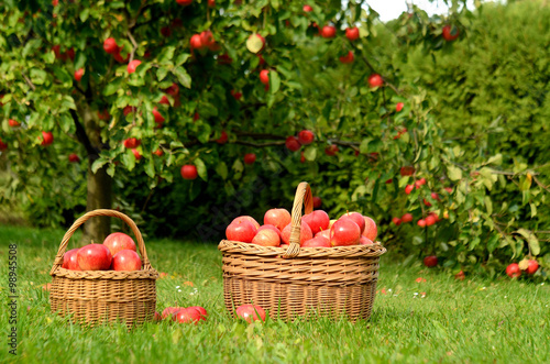 Two wicker baskets full of red apples