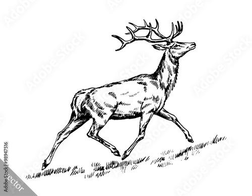 brush painting ink draw vector deer illustration