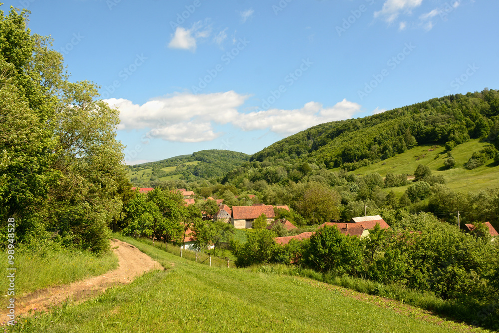 Summer landcape with traditional village