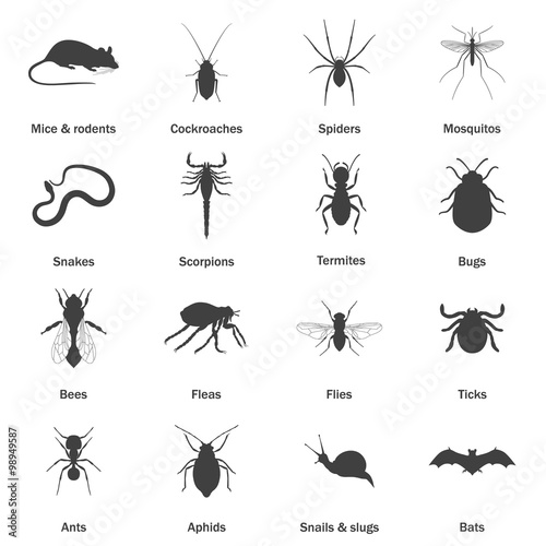 Pest and insect control icons set. 