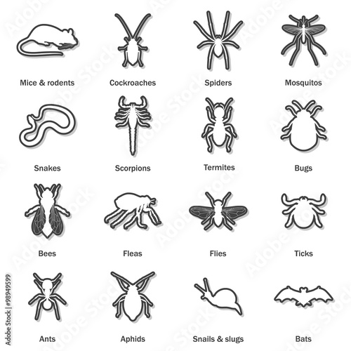 Pest and insect control icons set. 