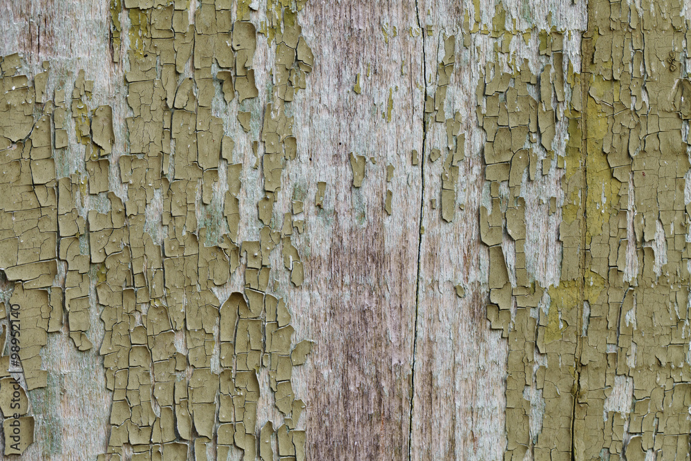 grunge wood texture, green, paint, grunge wood texture, green, paint,