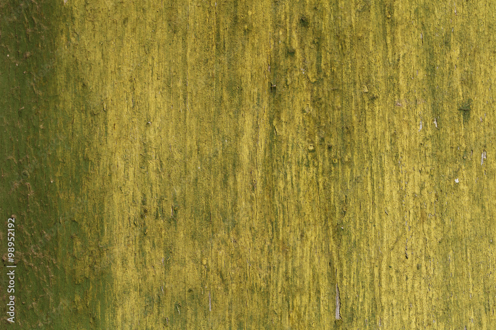 Fototapeta premium grunge wood texture, green, paint, yellow,