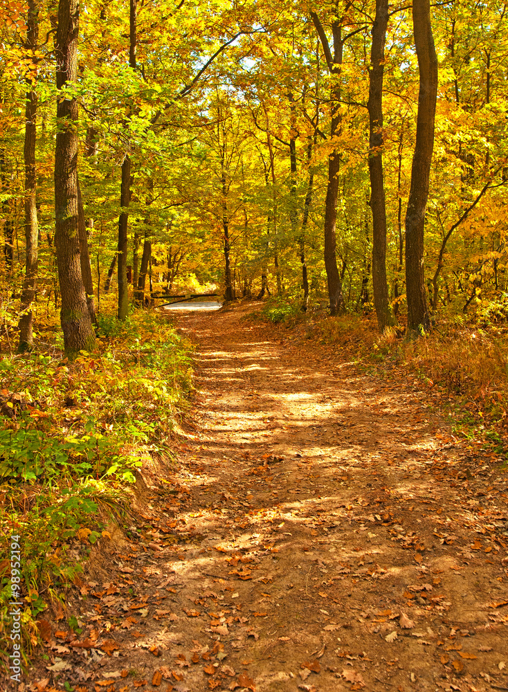 Obraz premium Ładna jesienna scena