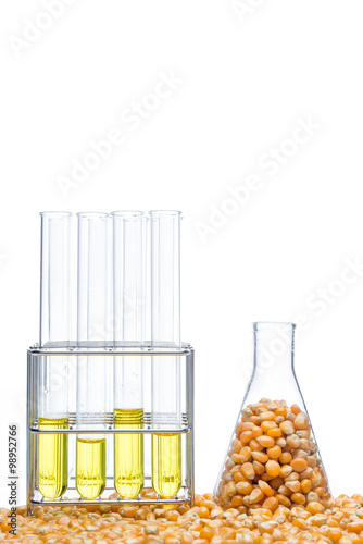 Research corn energy, biofuel and gmo in laboratory photo