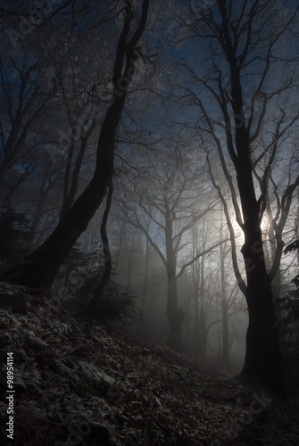 Oszronione drzewa na Jaworzynie Krynickiej © Adam Olszowski