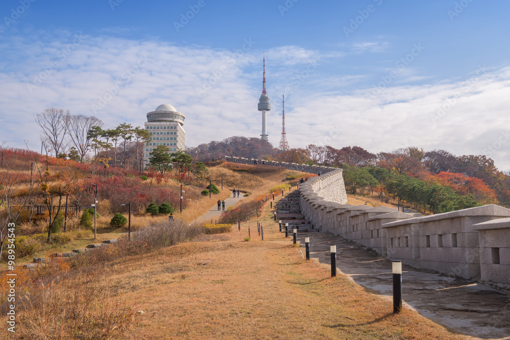 Namsan Park and N Seoul Tower, South Korea. Photos | Adobe Stock