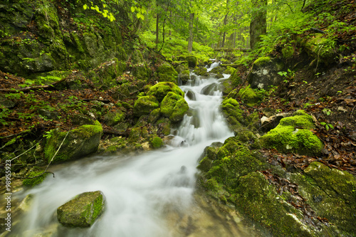 Waterfall in a lush gorge in Slovenský Raj, Slovakia