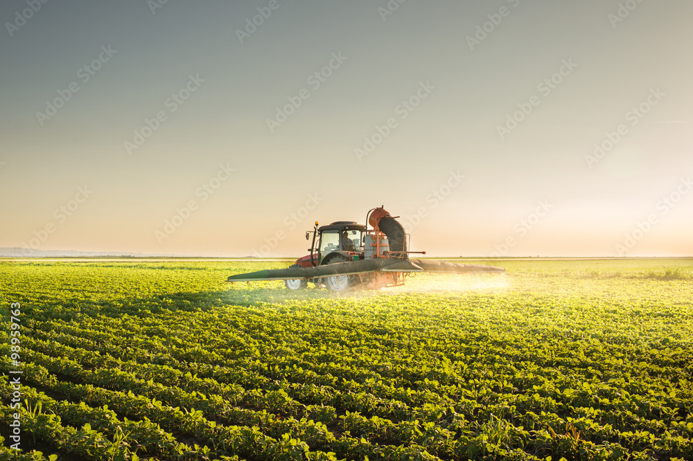 Obraz premium Tractor spraying pesticides