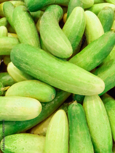 fresh green cucumbers