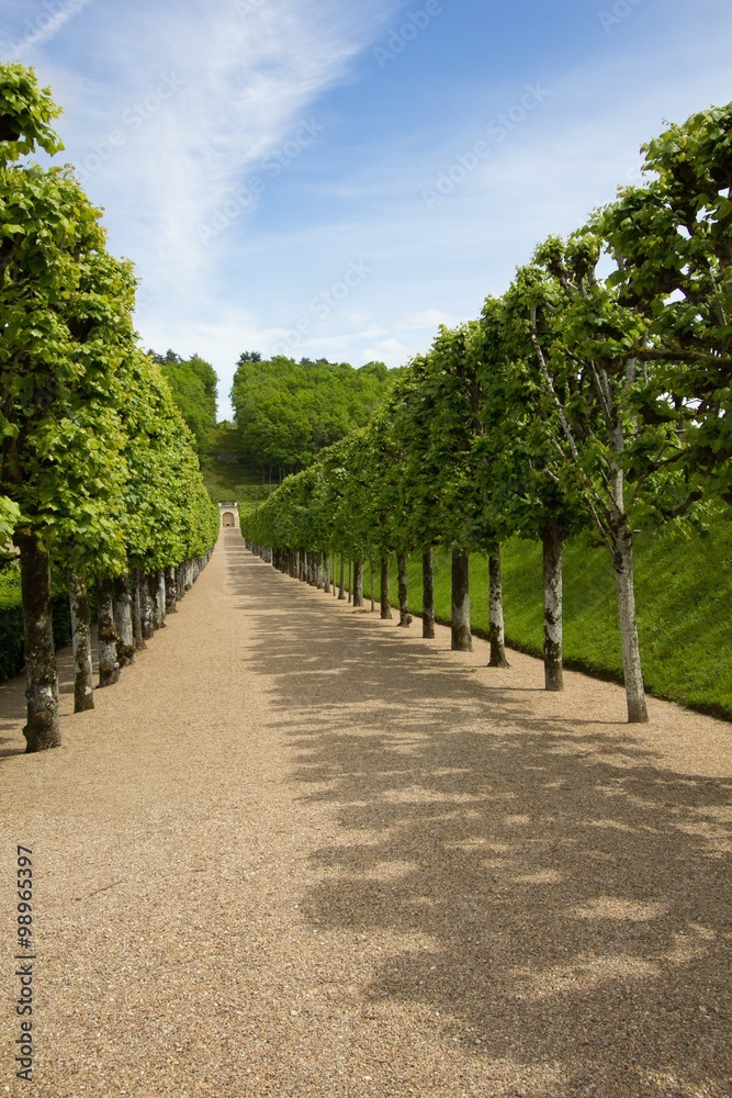 green labyrinth