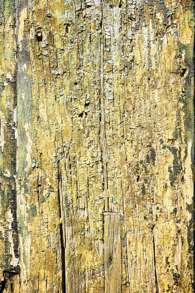 Obraz premium wood grungy background with space for your design