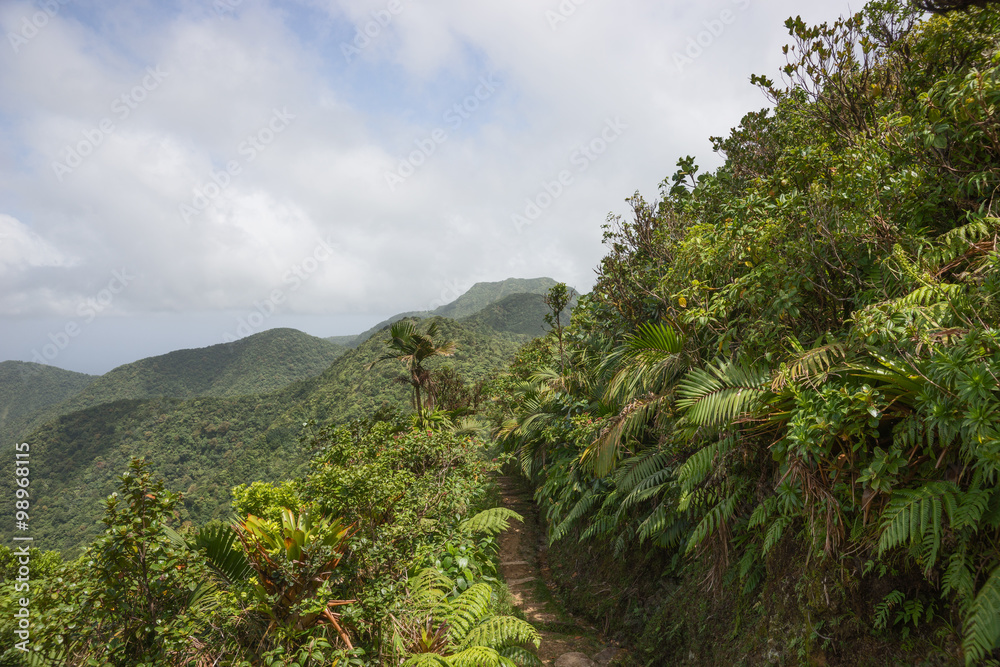 In den Bergen von Dominica