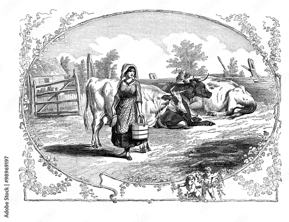 Obraz XIX century vintage, bucolic view of farm life, cows laying on field and girl with milk bucket.