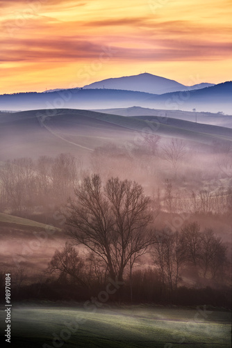 Tuscany in fog...