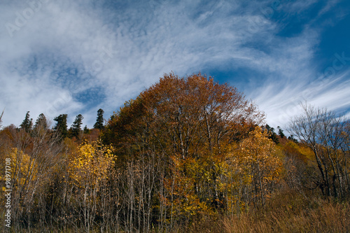 Autumn in the mountains of the North Caucasus. Sochi Region. Russia.
