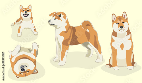 Funny dogs. stylized pets set in white.  Cute shiba inu dog
