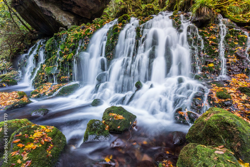 Fototapeta Naklejka Na Ścianę i Meble -  beautiful waterfall in forest, autumn landscape