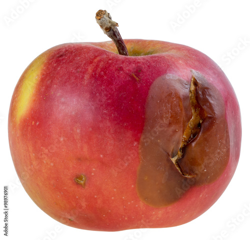 Red rotten apple isolated on white background