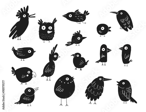 Birds silhouettes set, vector illustration