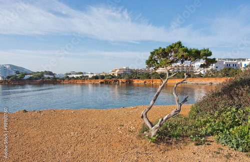 Ibiza natural rock and ocean landscape