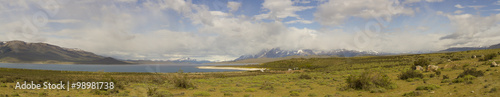 Chilean steppe with Torres del Paine National Park