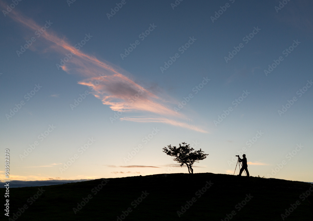 Photographer with tripod in silhouette with tree