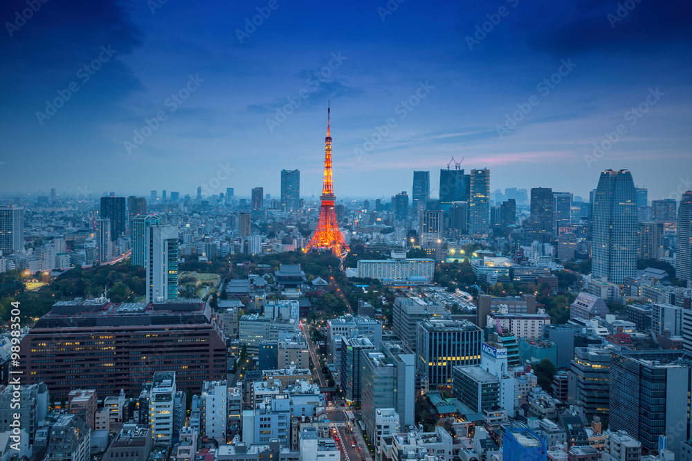 Night view of Tokyo Skylines.Tokyo is both the capital and large - obrazy, fototapety, plakaty 