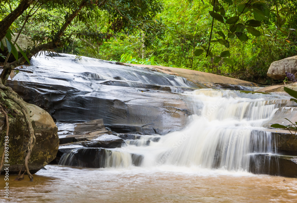 Fototapeta premium Beautiful Waterfall