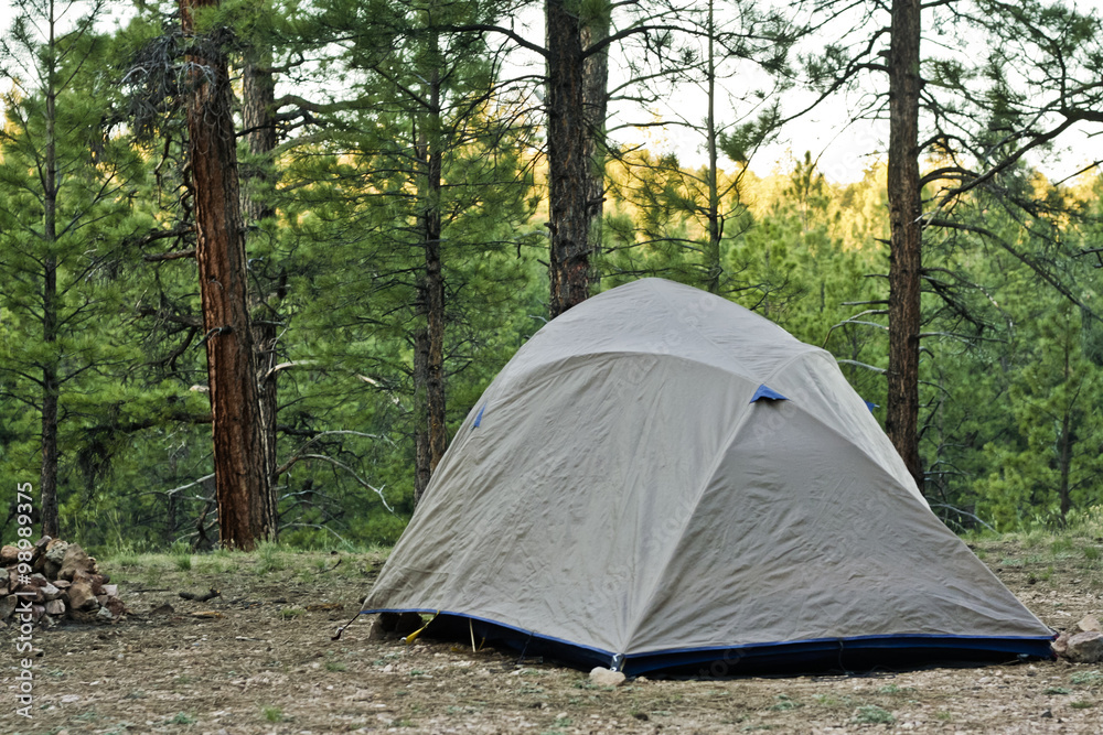 Tenting in the Forest