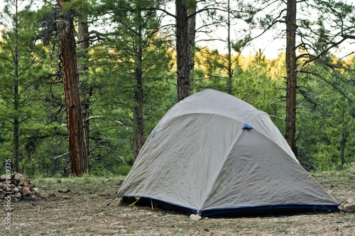 Tenting in the Forest