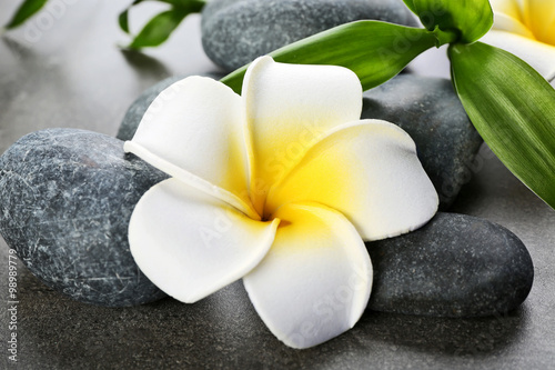 Hot spa stones with flowers and bamboo on grey background  close-up