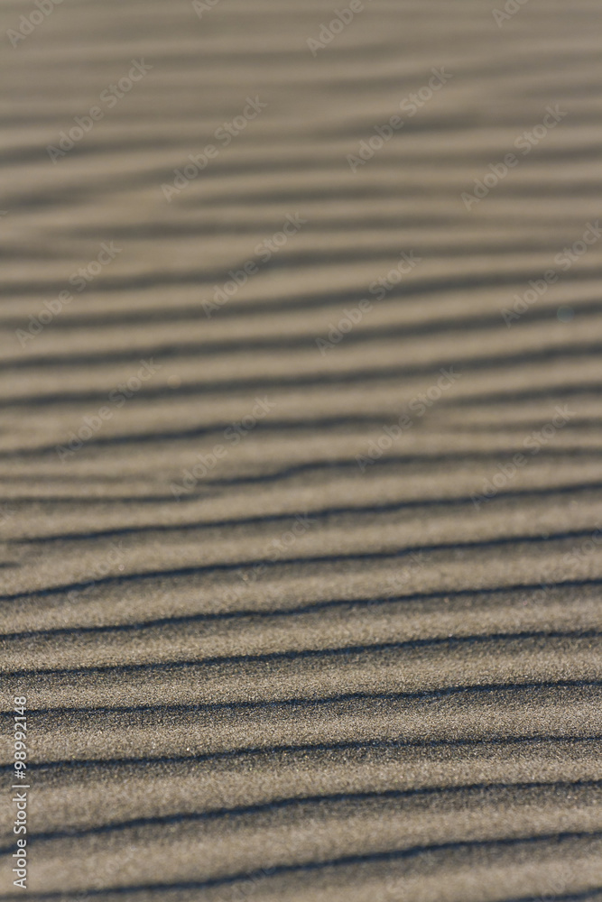Obraz premium textures in the sand 