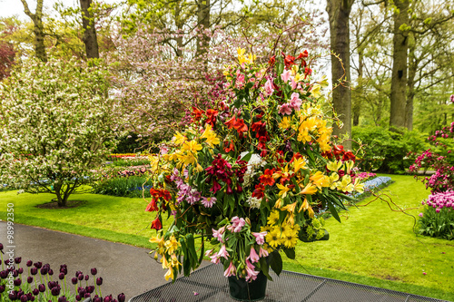 flower garden Keukenhof , Netherlands, Holland