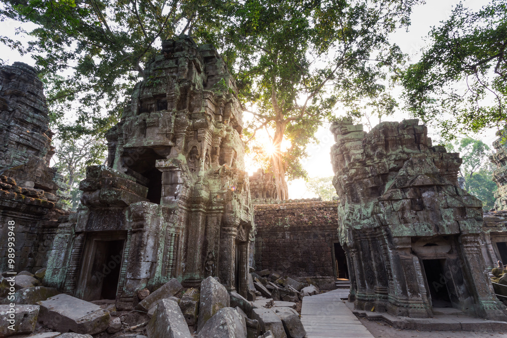 Fototapeta premium Ta Prohm temple in Siem reap , Cambodia