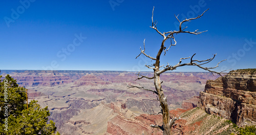 View of the Grand Canyon, Arizona, USA