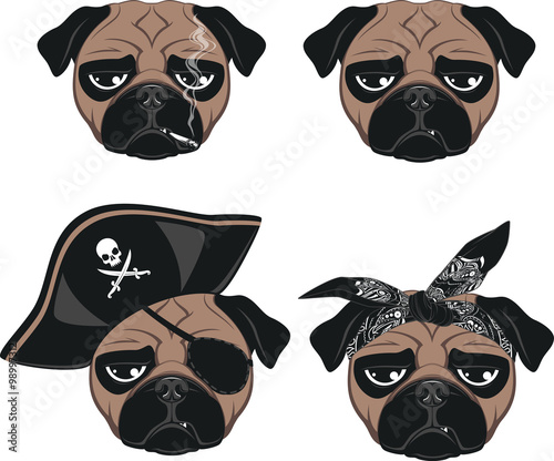 Set of funny pug