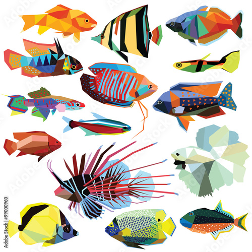 fish-set colorful fish low poly design isolated on white.