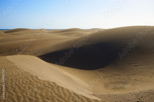 Sandy dunes in desert   Sandy and wavy dunes with stylish forms in a wide desert under blue sky