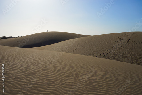 Sandy dunes in desert / Sandy and wavy dunes with stylish forms in a wide desert under blue sky