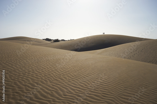 Sandy dunes in desert / Sandy and wavy dunes with stylish forms in a wide desert under blue sky