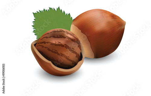 Hazelnut for your design