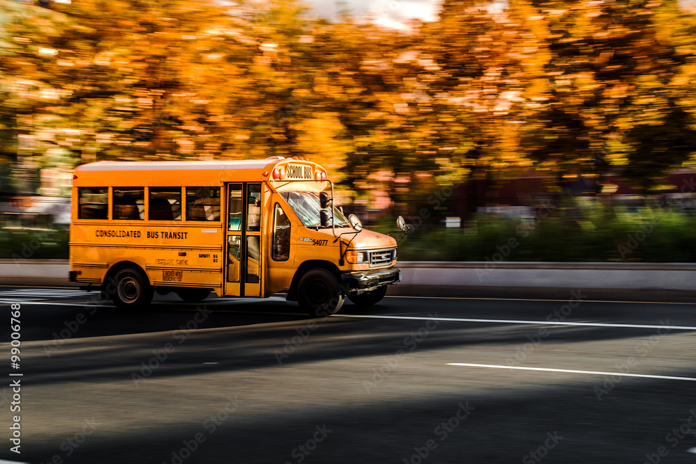 School bus