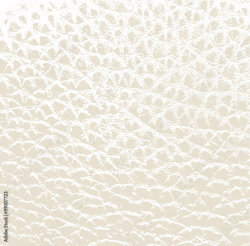 Leather texture background vector